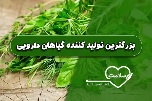 بزرگترین تولید کننده گیاهان دارویی