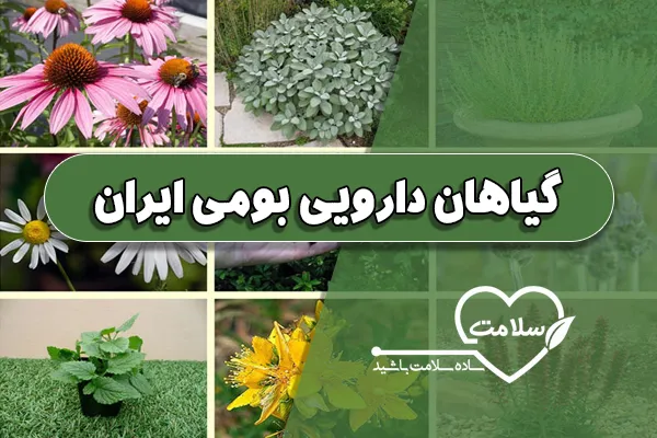 گیاهان دارویی بومی ایران