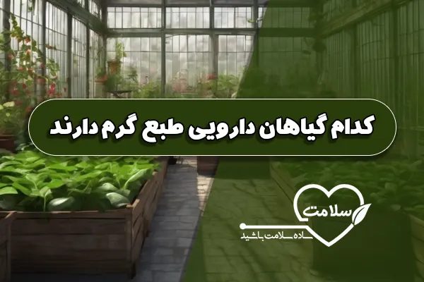 کدام گیاهان دارویی طبع گرم دارند