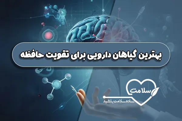 بهترین گیاهان دارویی برای تقویت حافظه