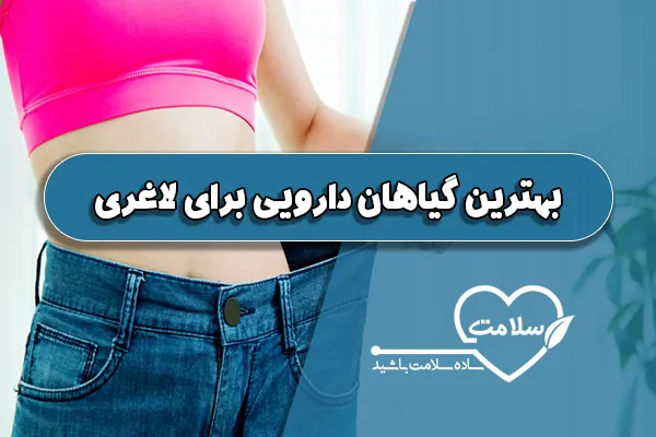 بهترین گیاهان دارویی برای لاغری