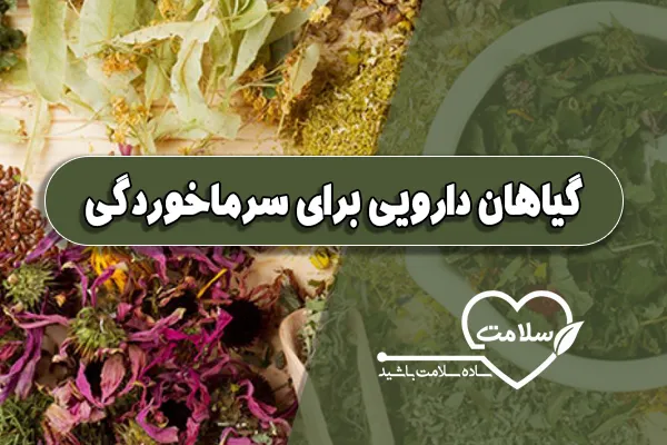 گیاهان دارویی برای سرماخوردگی