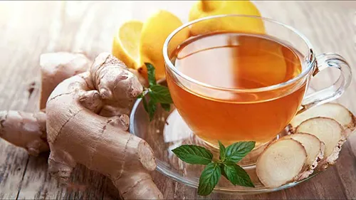 شناخت زنجبیل و فروش عمده عصاره مایع زنجبیل