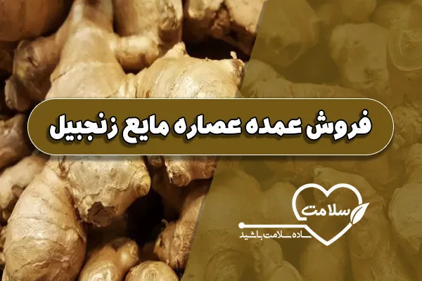 فروش عمده عصاره مایع زنجبیل